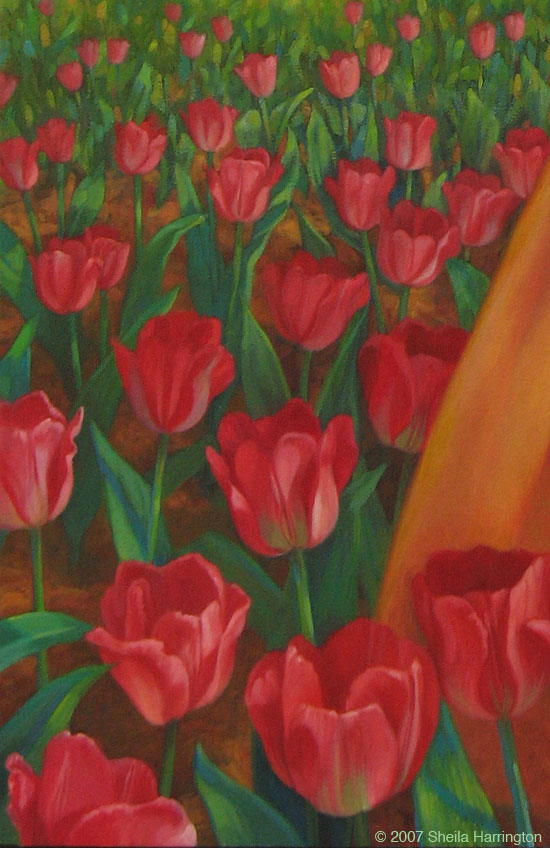TulipDetail